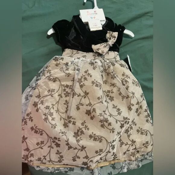 Biscotti Girls Velvet Top Floral Tulle Party Dress with Headband Size 2T - Picture 3 of 10